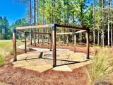 Lot 33 Pine Preserve Ln - Photo 34