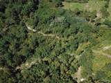 Lot 6 Will Jones Rd - Photo 2