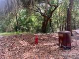 9517 Lorikeet Ln - Photo 13
