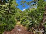 9517 Lorikeet Ln - Photo 16