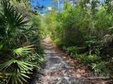 9517 Lorikeet Ln - Photo 18