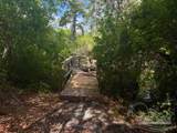 9517 Lorikeet Ln - Photo 22