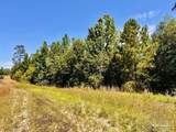 Lot 56 Mineral Springs Rd - Photo 10