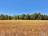 Lot 56 Mineral Springs Rd - Photo 12