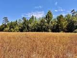 Lot 56 Mineral Springs Rd - Photo 13