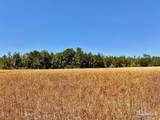 Lot 56 Mineral Springs Rd - Photo 2