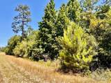 Lot 56 Mineral Springs Rd - Photo 3