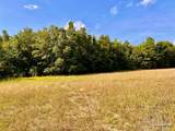 Parcel 17 Mineral Springs Rd - Photo 13