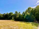 Parcel 17 Mineral Springs Rd - Photo 23