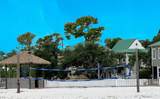 13555 Perdido Key Dr - Photo 31