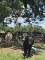 3060 Oakshade Rd - Photo 19
