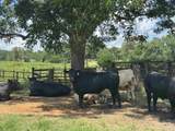 3060 Oakshade Rd - Photo 20
