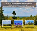 Lot 38 BR Buffalo Ridge Rd - Photo 1