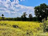 Lot 38 BR Buffalo Ridge Rd - Photo 11