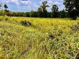 Lot 38 BR Buffalo Ridge Rd - Photo 12