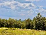 Lot 38 BR Buffalo Ridge Rd - Photo 13