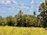 Lot 38 BR Buffalo Ridge Rd - Photo 14