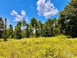 Lot 38 BR Buffalo Ridge Rd - Photo 16