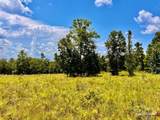 Lot 38 BR Buffalo Ridge Rd - Photo 17