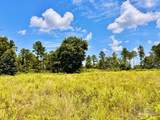 Lot 38 BR Buffalo Ridge Rd - Photo 18