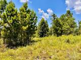 Lot 38 BR Buffalo Ridge Rd - Photo 20