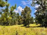 Lot 38 BR Buffalo Ridge Rd - Photo 21