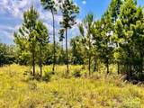 Lot 38 BR Buffalo Ridge Rd - Photo 22