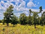 Lot 38 BR Buffalo Ridge Rd - Photo 23