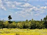 Lot 38 BR Buffalo Ridge Rd - Photo 4
