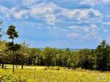 Lot 38 BR Buffalo Ridge Rd - Photo 5