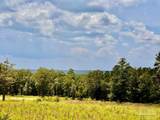 Lot 38 BR Buffalo Ridge Rd - Photo 6