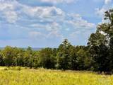 Lot 38 BR Buffalo Ridge Rd - Photo 7