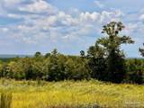 Lot 38 BR Buffalo Ridge Rd - Photo 8