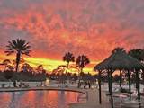 13555 Perdido Key Dr - Photo 29