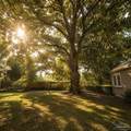 1750 Reus St - Photo 33