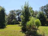 23595 County Road 47 - Photo 16