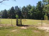23595 County Road 47 - Photo 29