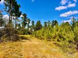 Lot 1 Morgans Branch - Photo 15