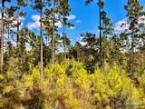 Lot 3 Morgans Branch - Photo 13
