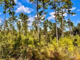 Lot 3 Morgans Branch - Photo 14