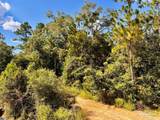 Lot 5 Morgans Branch - Photo 11