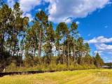 Lot 5 Morgans Branch - Photo 17