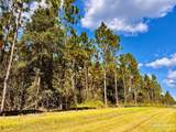 Lot 5 Morgans Branch - Photo 18