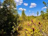 Lot 11 Morgans Branch - Photo 10