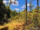 Lot 11 Morgans Branch - Photo 13
