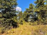 Lot 11 Morgans Branch - Photo 9
