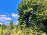 Lot 13 Morgans Branch - Photo 11