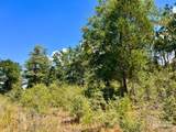 Lot 13 Morgans Branch - Photo 8