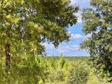 Lot 14 Morgans Branch - Photo 10