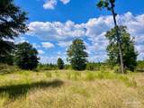 Lot 14 Morgans Branch - Photo 11